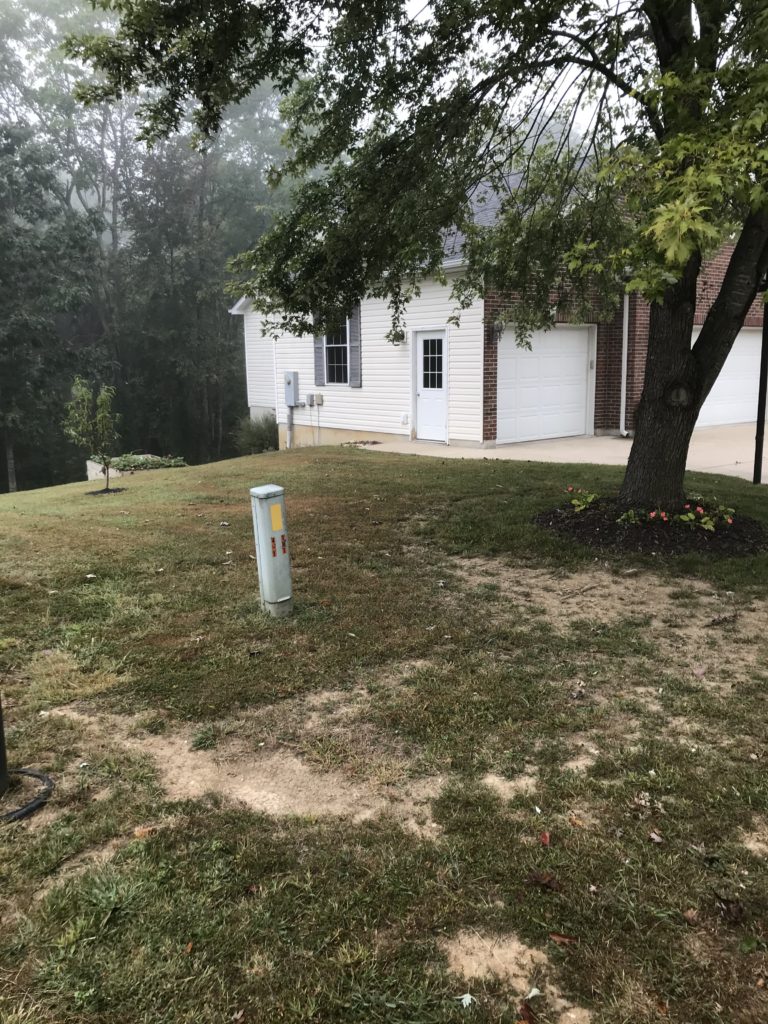 Marthasville lawn renovation before